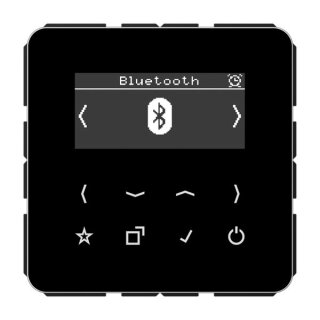 Jung DABCDBTSW Smart Radio DAB+ Bluetooth Serie CD schwarz
