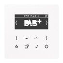 Jung DABLSSW Smart Radio DAB+ Serie LS schwarz