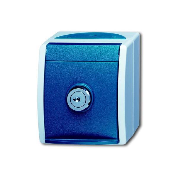 Busch-Jaeger 20 EWSL-53 Steckdose SCHUKO® mit Klappdeckel und Zylinderschloß grau / blaugrün