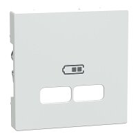 Merten Zentralplatte für USB Ladestation-Einsatz...