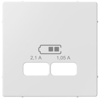 Merten Zentralplatte für USB Ladestation-Einsatz aktivweiß glänzend System M MEG4367-0325