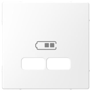 Merten Zentralplatte für USB Ladestation-Einsatz Lotosweiß System Design MEG4367-6035