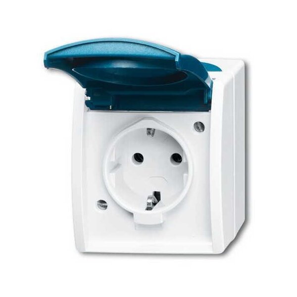 Busch-Jaeger 20 EW-53 Steckdose SCHUKO® mit Klappdeckel grau / blaugrün