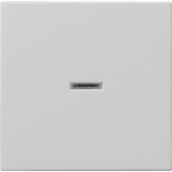 Gira 0290015 Wippe Kontrollfenster System 55 Grau matt