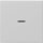 Gira 0290015 Wippe Kontrollfenster System 55 Grau matt