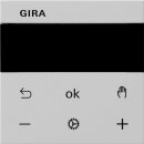 Gira 5393015 S3000 RTR Display System 55 Grau matt