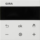 Gira 539303 S3000 RTR Display System 55 Reinweiß