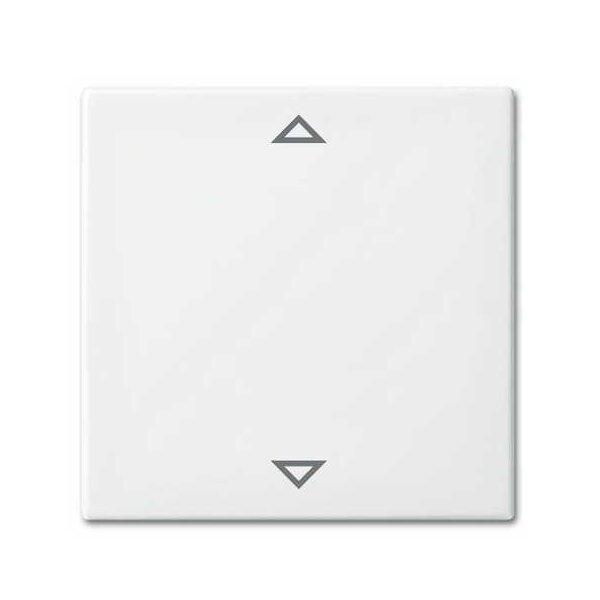 Busch-Jaeger 6430-914-102 Bedienelement für Jalousie Einzeltaster alpinweiß