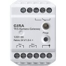 Gira 120100 TKS-Kamera-Gateway Türko