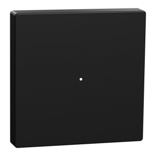 Merten MEG5210-0403 Wippe für Taster-Modul 1fach, schwarz matt, System M