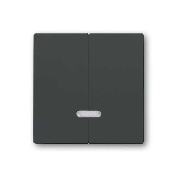 Busch-Jaeger 6545-81 Bedienelement für Dimmer zweiteilige Taste anthrazit