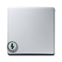 Busch-Jaeger 2118 GKSL-33 Zwischenring mit Klappdeckel...