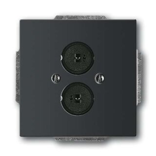 Busch-Jaeger 1751-885 Zentralscheibe Lautsprecher 2-fach schwarz matt