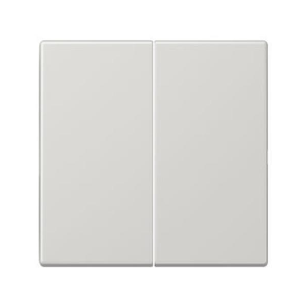 Jung Wippe 2fach Serie LS lichtgrau