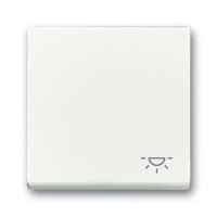 Busch-Jaeger 2520 LI-84 Wippe mit Aufdruck Symbol Licht...
