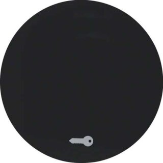 Berker 16202015 Wippe mit Aufdruck Symbol Tür R.1/R.3 schwarz, glänzend