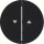 Berker 16252045 Wippen mit Aufdruck Symbol Pfeil R.1/R.3 schwarz, glänzend