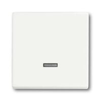 Busch-Jaeger 6543-884-101 Bedienelement für Dimmer...