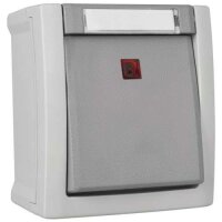 Pacific Kontroll-/Ausschalter FR-AP IP54 grau